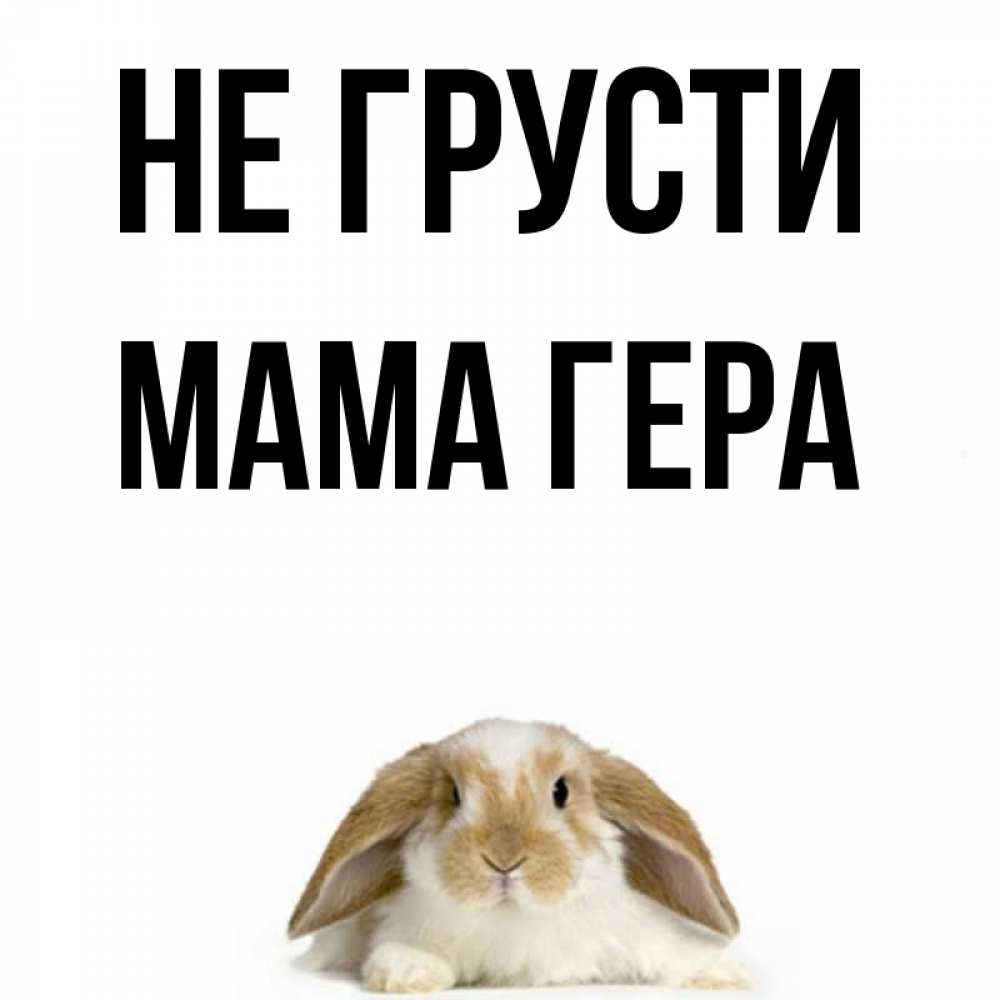 Открытка на каждый день с именем, Мама-Гера Не грусти коричнево белый заяц с большими ушками Прикольная открытка с пожеланием онлайн скачать бесплатно 