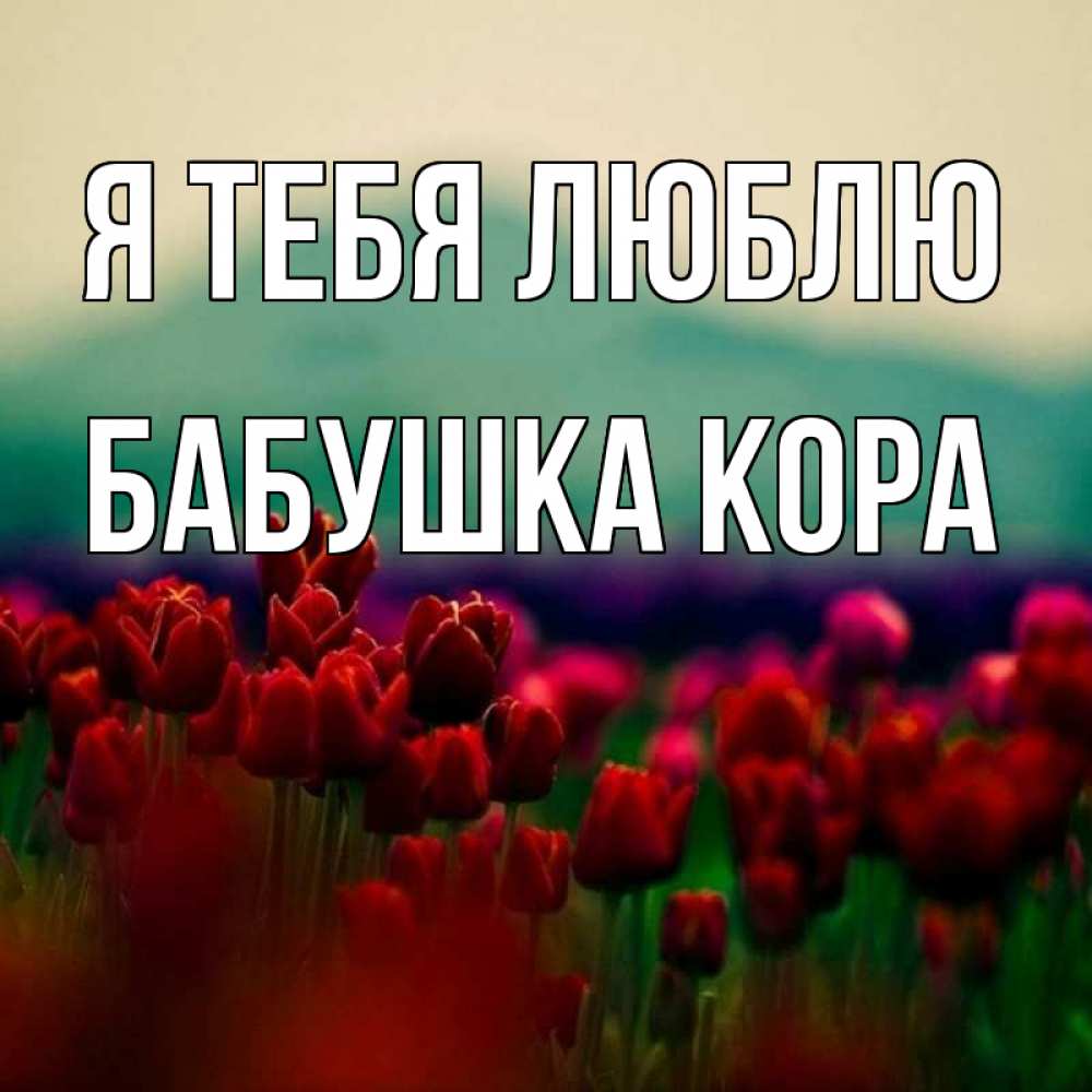 Открытка на каждый день с именем, Бабушка-Кора Я тебя люблю тюльпаны 4 Прикольная открытка с пожеланием онлайн скачать бесплатно 