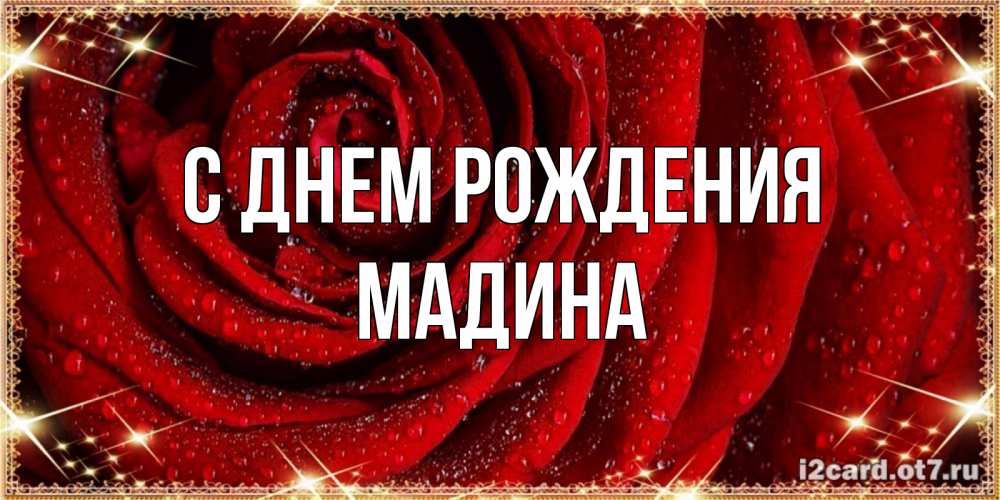 Открытка на каждый день с именем, Мадина С днем рождения роса на розе блестящая в лучах солнца Прикольная открытка с пожеланием онлайн скачать бесплатно 