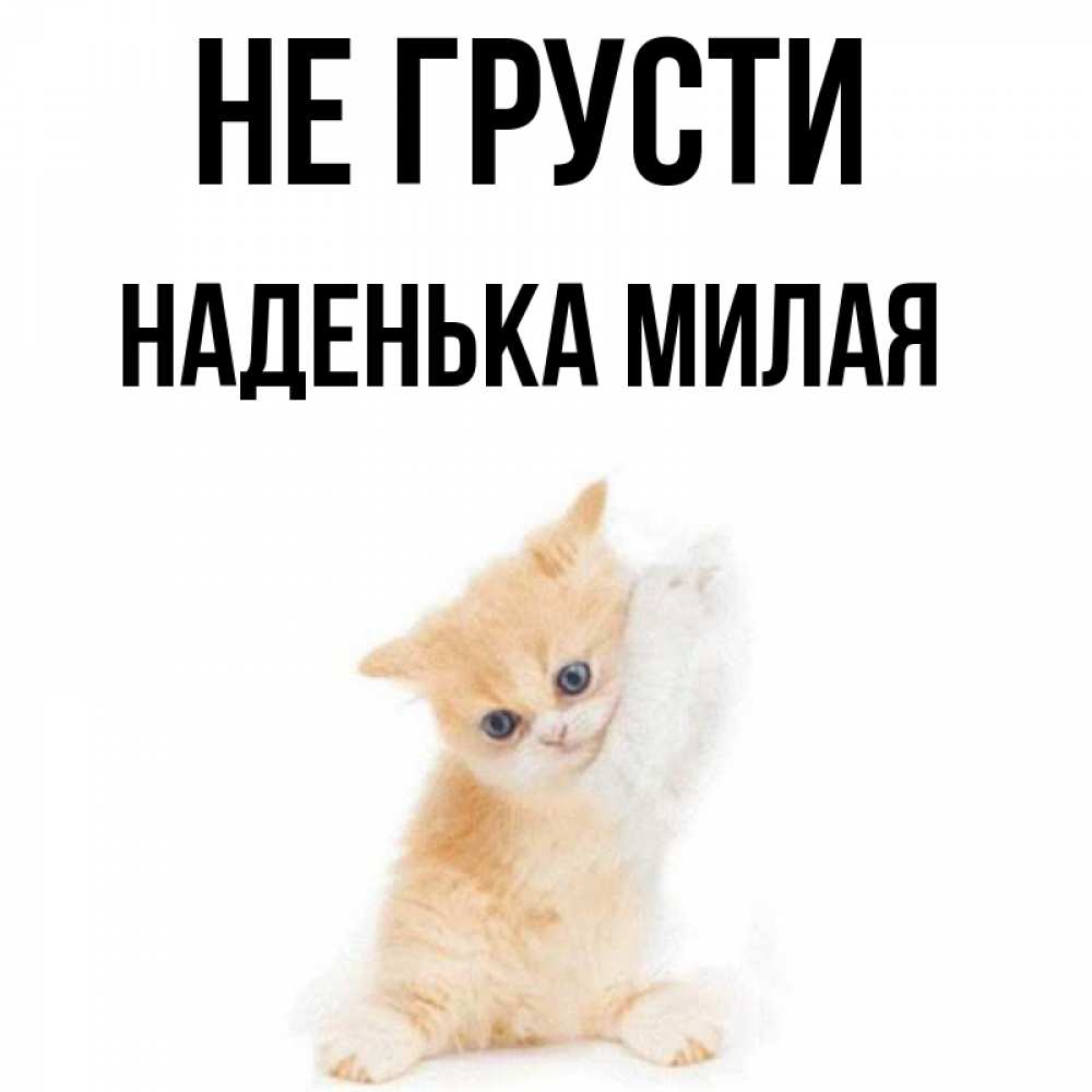 Не милая