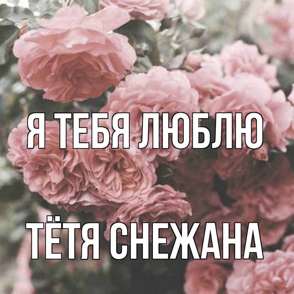 Открытка на каждый день с именем, Тётя-Снежана Я тебя люблю розы 3 Прикольная открытка с пожеланием онлайн скачать бесплатно 
