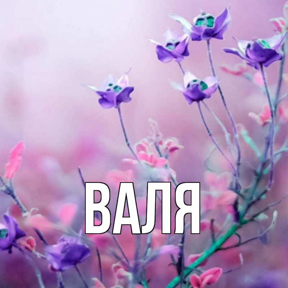 Напиши вале