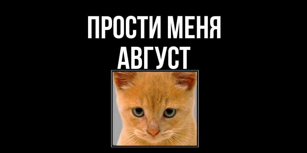 Открытка на каждый день с именем, Август Прости меня рыжий грустный кот просит прощения Прикольная открытка с пожеланием онлайн скачать бесплатно 
