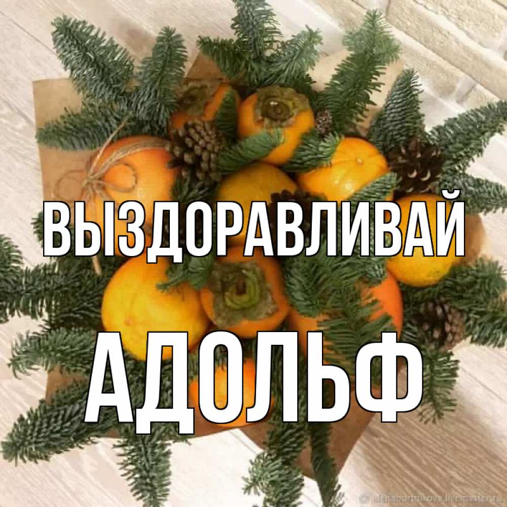 Открытка на каждый день с именем, Адольф Выздоравливай апельсины и хурьма Прикольная открытка с пожеланием онлайн скачать бесплатно 