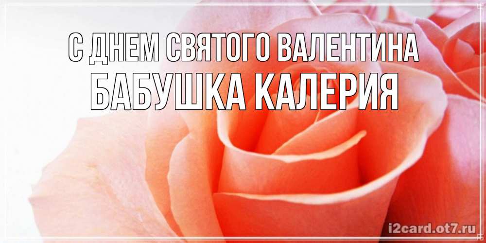 Открытка на каждый день с именем, Бабушка-Калерия С днем Святого Валентина открытка на день Святого Валентина с розовой розой Прикольная открытка с пожеланием онлайн скачать бесплатно 