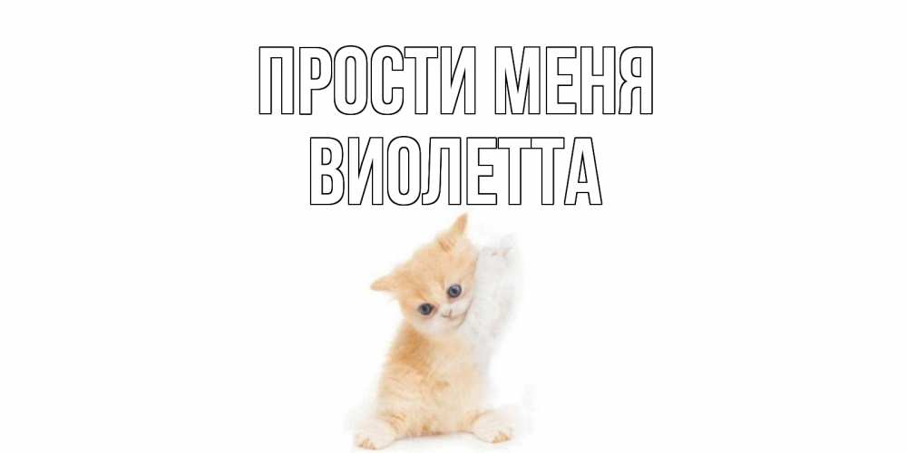Открытка на каждый день с именем, Виолетта Прости меня кот Прикольная открытка с пожеланием онлайн скачать бесплатно 