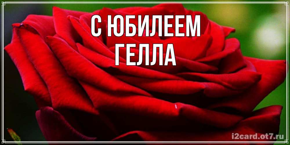 Открытка на каждый день с именем, Гелла С юбилеем розочка очень красивая Прикольная открытка с пожеланием онлайн скачать бесплатно 