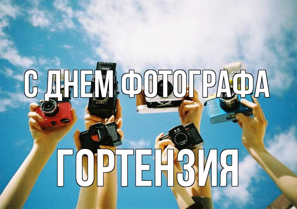Открытка на каждый день с именем, Гортензия С днем фотографа с днем фотографа Прикольная открытка с пожеланием онлайн скачать бесплатно 