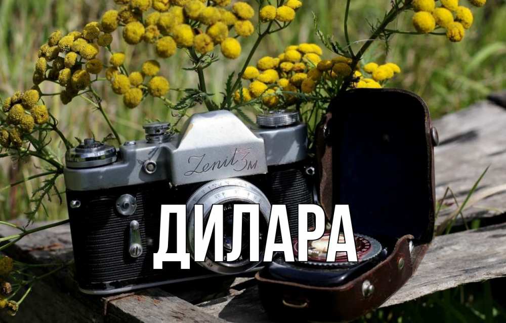 Открытка на каждый день с именем, Дилара Главная с днем фотографа Прикольная открытка с пожеланием онлайн скачать бесплатно 