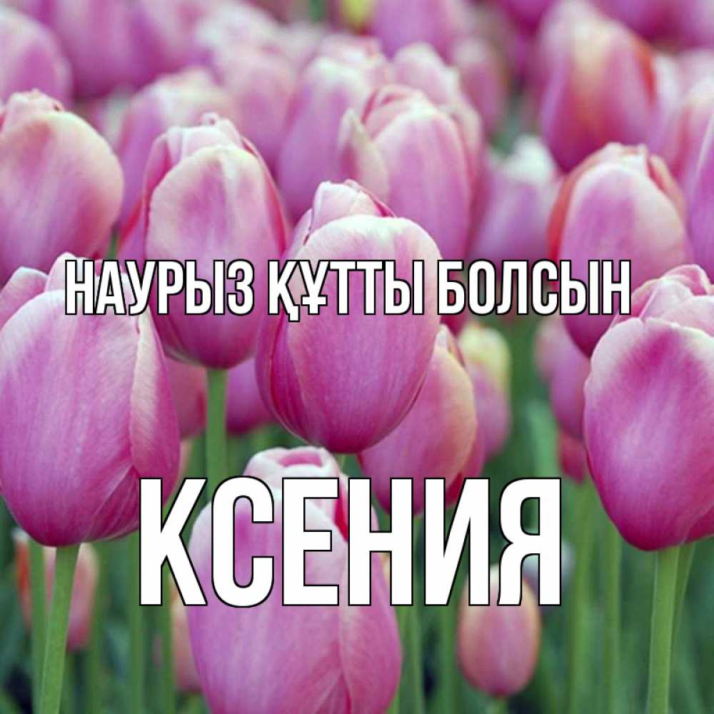 Открытка на каждый день с именем, Ксения Наурыз құтты болсын на наурыз  день 3 Прикольная открытка с пожеланием онлайн скачать бесплатно 