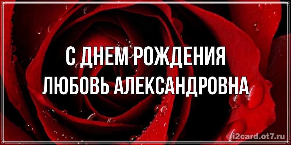 Открытка на каждый день с именем, Любовь-Александровна С днем рождения крупная бордовая роза Прикольная открытка с пожеланием онлайн скачать бесплатно 