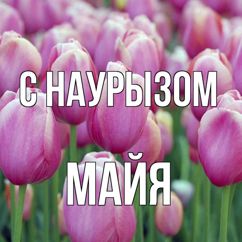 Открытка на каждый день с именем, Майя С наурызом праздник весны наурыз 69 Прикольная открытка с пожеланием онлайн скачать бесплатно 