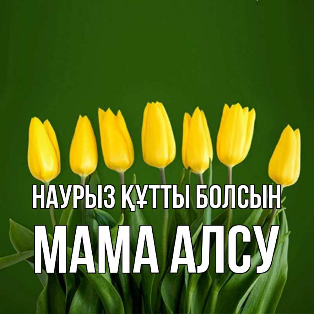 Открытка на каждый день с именем, Мама-Алсу Наурыз құтты болсын желтого цвета 3 Прикольная открытка с пожеланием онлайн скачать бесплатно 