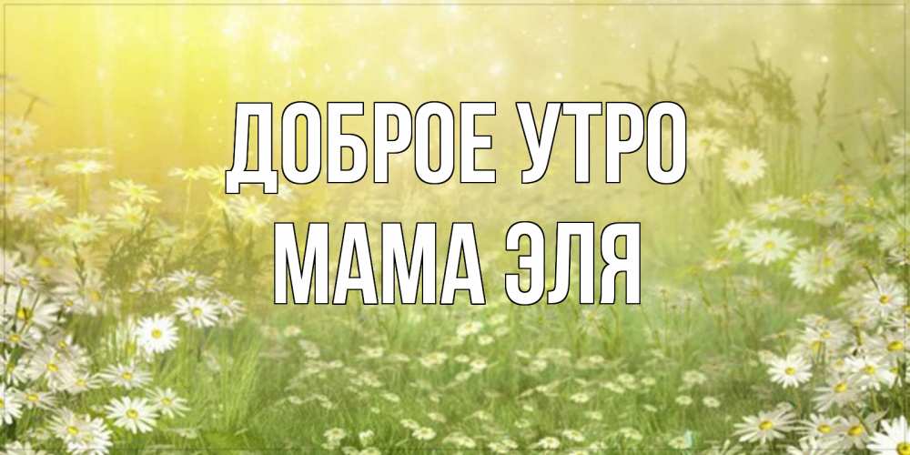 Открытка на каждый день с именем, Мама-Эля Доброе утро доброе утро Прикольная открытка с пожеланием онлайн скачать бесплатно 