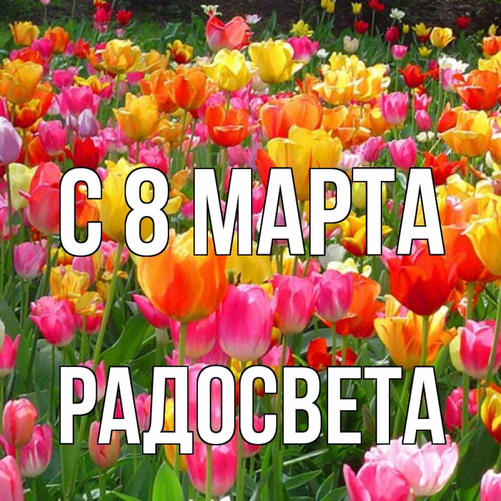 Открытка на каждый день с именем, Радосвета С 8 МАРТА на международный женский день Прикольная открытка с пожеланием онлайн скачать бесплатно 