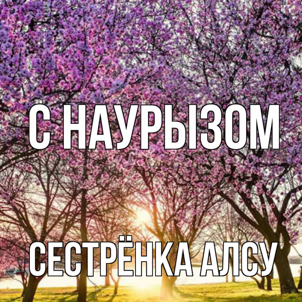Открытка на каждый день с именем, Сестрёнка-Алсу С наурызом праздник весны наурыз Прикольная открытка с пожеланием онлайн скачать бесплатно 