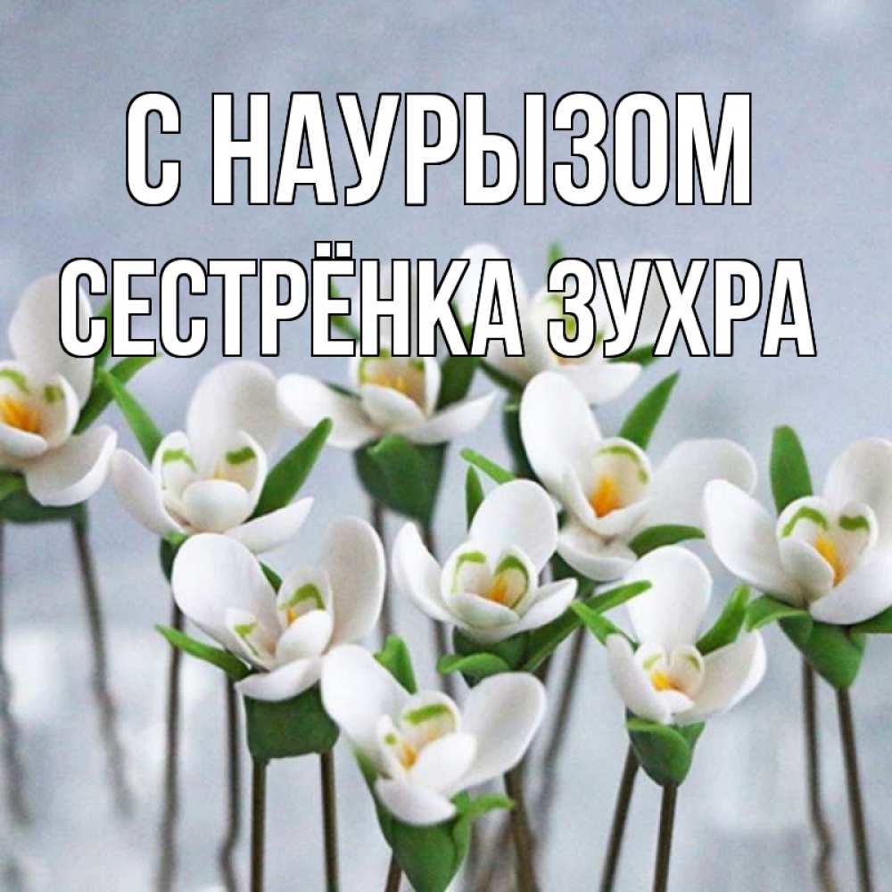 Открытка на каждый день с именем, Сестрёнка-Зухра С наурызом весенние цветы Прикольная открытка с пожеланием онлайн скачать бесплатно 