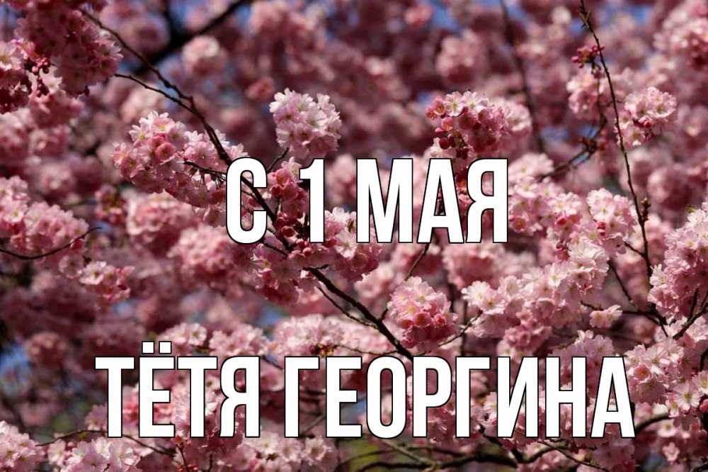 Открытка на каждый день с именем, Тётя-Георгина С 1 мая С 1 мая Прикольная открытка с пожеланием онлайн скачать бесплатно 