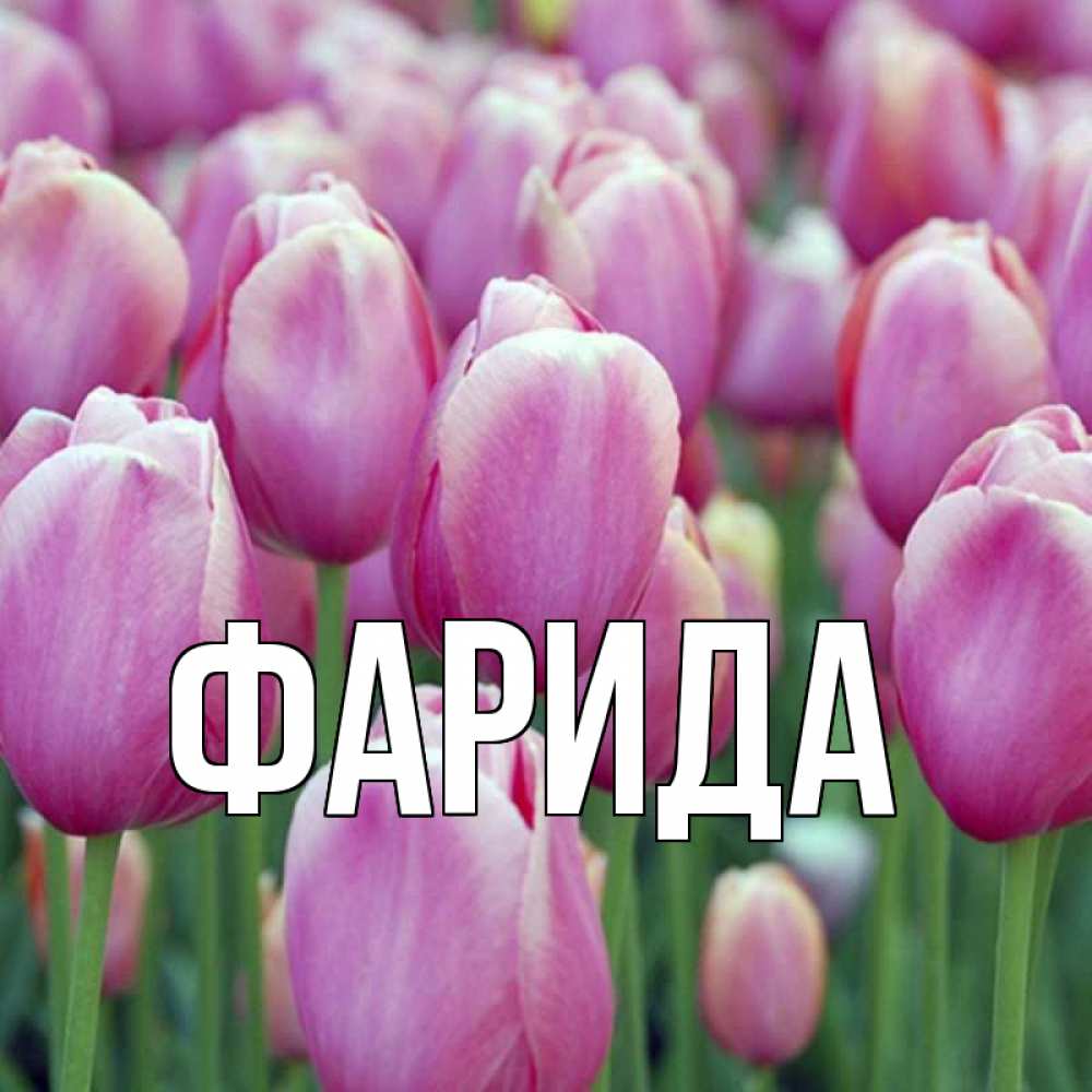Открытка на каждый день с именем, Фарида Главная праздник весны наурыз 69 Прикольная открытка с пожеланием онлайн скачать бесплатно 