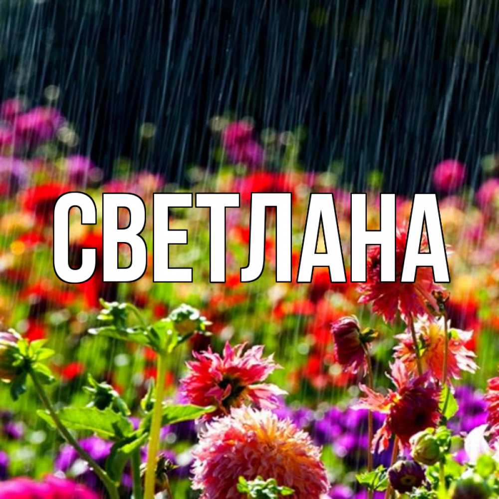 Картинки к имени светлана