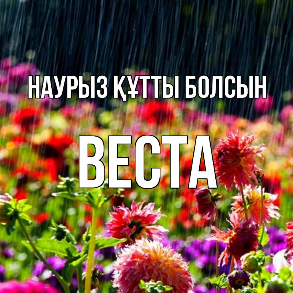 Открытка на каждый день с именем, Веста Наурыз құтты болсын цветы под дождиком к наурызу Прикольная открытка с пожеланием онлайн скачать бесплатно 