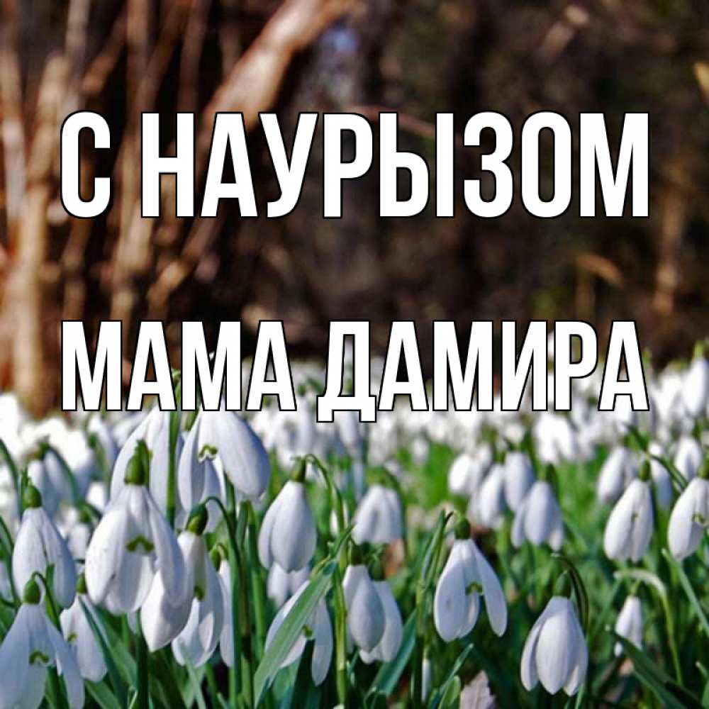 Открытка на каждый день с именем, Мама-Дамира С наурызом с подснежниками 1 Прикольная открытка с пожеланием онлайн скачать бесплатно 