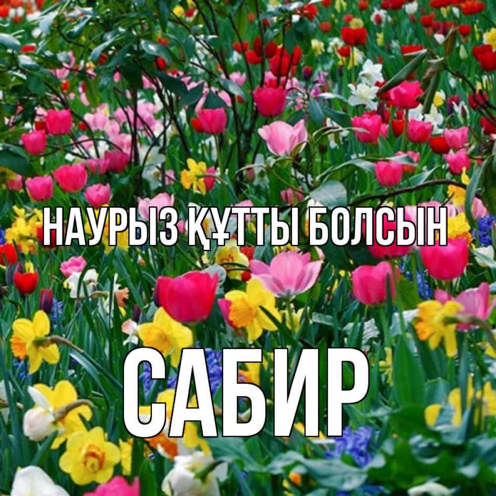 Открытка на каждый день с именем, Сабир Наурыз құтты болсын с наурызом поздравления для женщины Прикольная открытка с пожеланием онлайн скачать бесплатно 