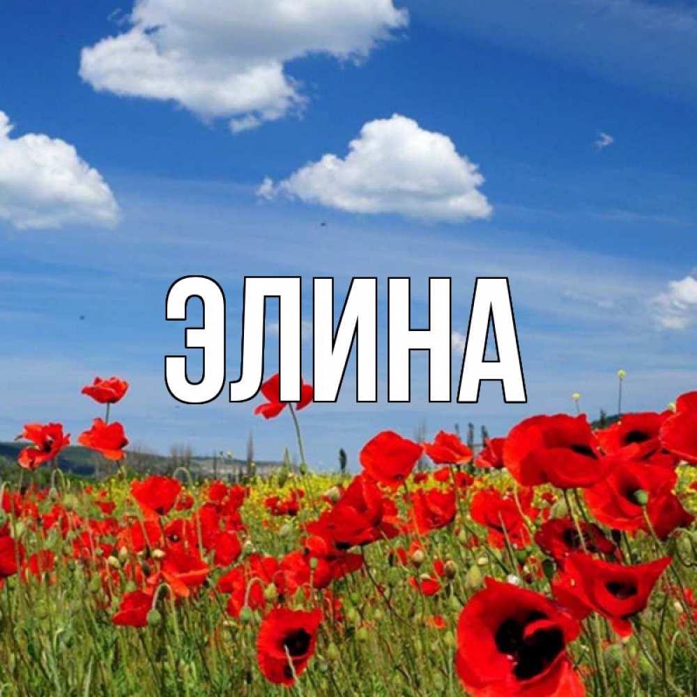 Открытка на каждый день с именем, Элина Главная праздник весны наурыз очень красивая картинка Прикольная открытка с пожеланием онлайн скачать бесплатно 