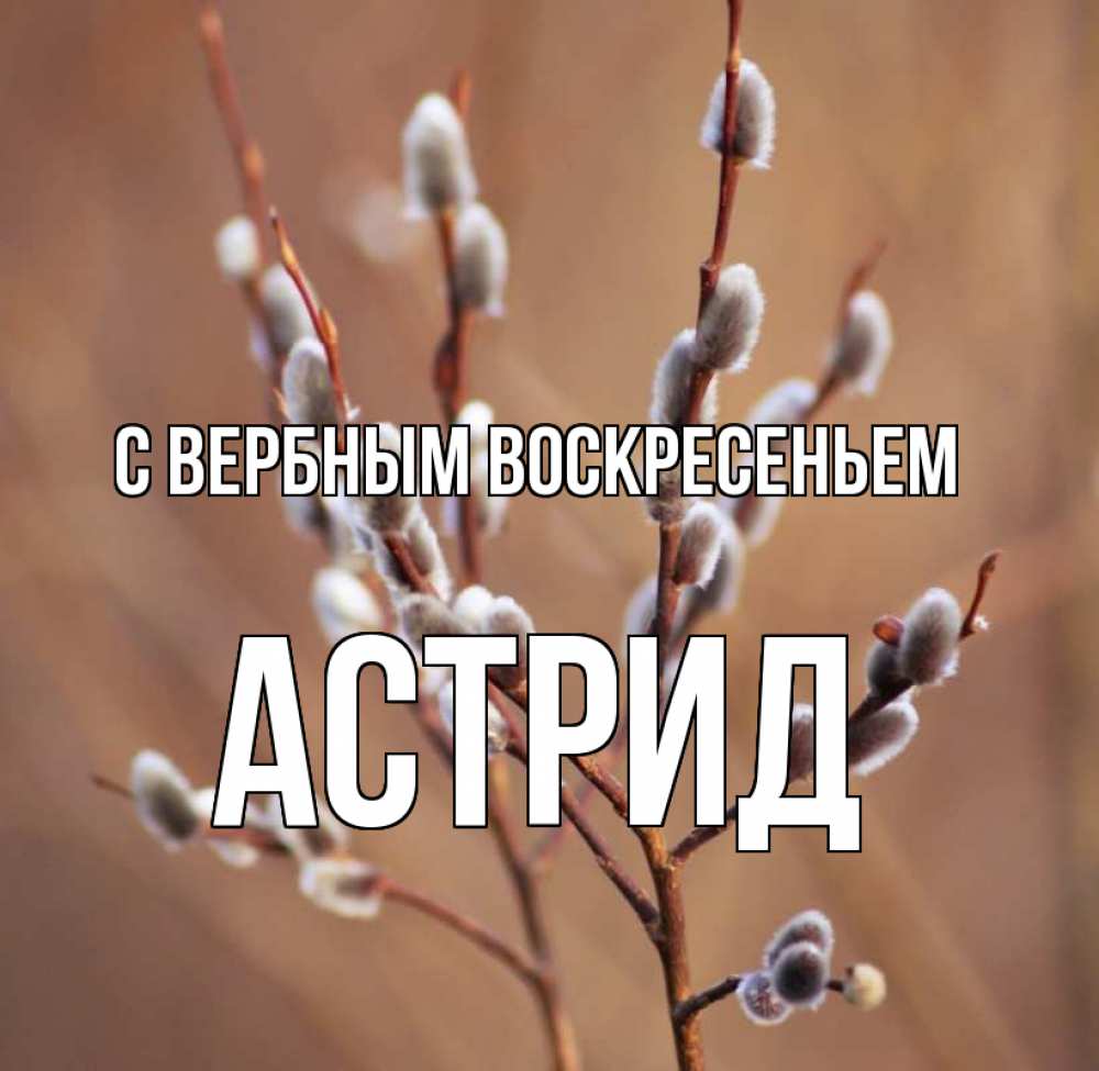 Открытка на каждый день с именем, Астрид С вербным воскресеньем верба Прикольная открытка с пожеланием онлайн скачать бесплатно 