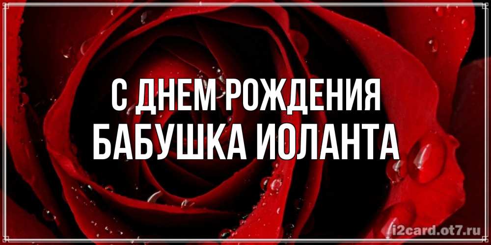 Открытка на каждый день с именем, Бабушка-Иоланта С днем рождения крупная бордовая роза Прикольная открытка с пожеланием онлайн скачать бесплатно 