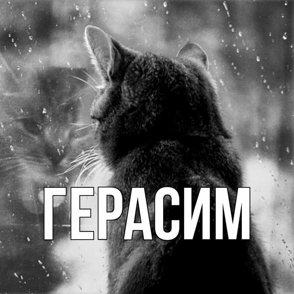Открытка на каждый день с именем, Герасим Главная скорее ко мне приходи 1 Прикольная открытка с пожеланием онлайн скачать бесплатно 