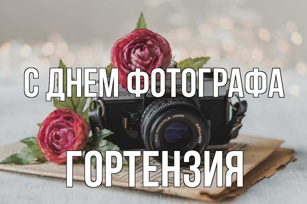 Открытка на каждый день с именем, Гортензия С днем фотографа с днем фотографа Прикольная открытка с пожеланием онлайн скачать бесплатно 