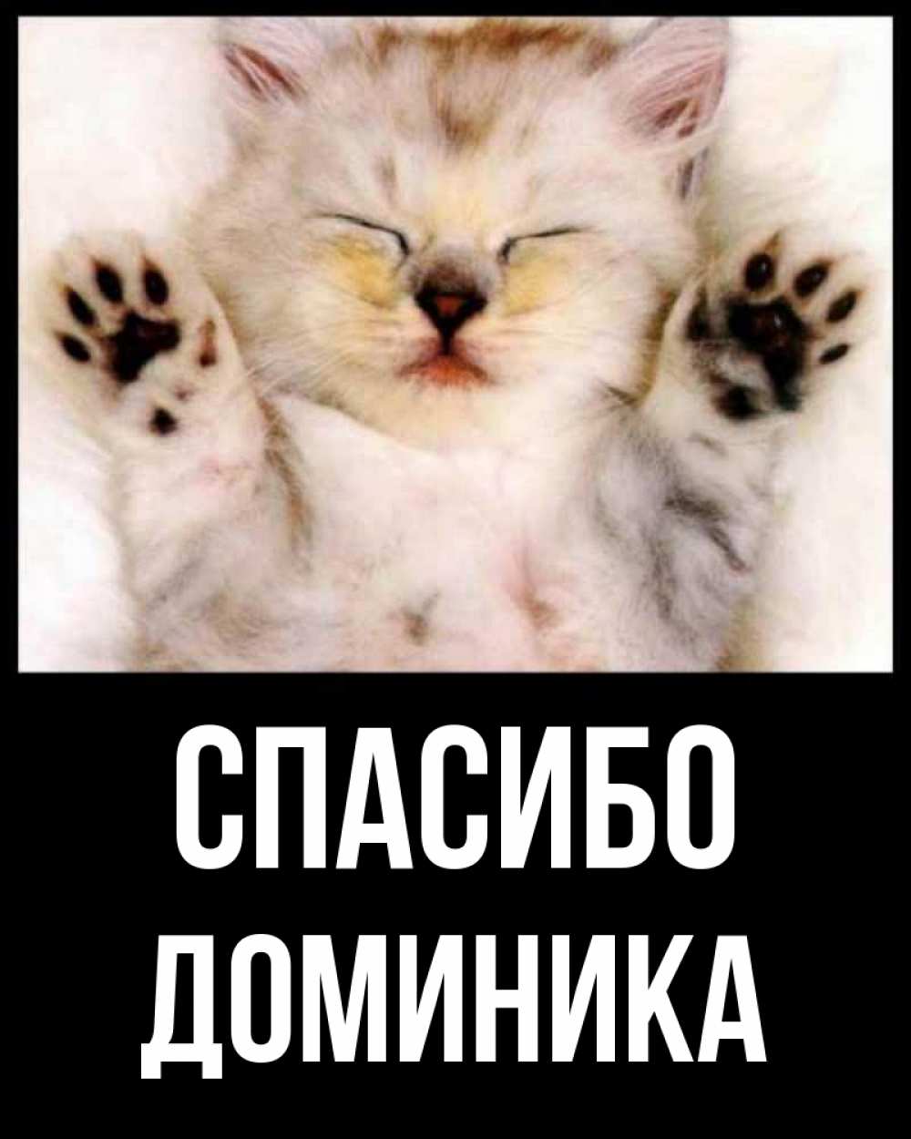 Открытка на каждый день с именем, Доминика Спасибо маленький котенок Прикольная открытка с пожеланием онлайн скачать бесплатно 