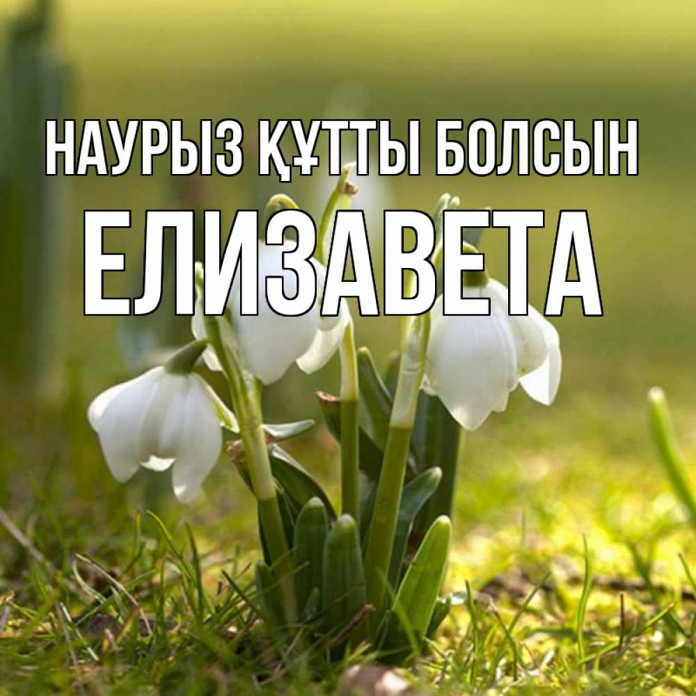 Открытка на каждый день с именем, Елизавета Наурыз құтты болсын ранние цветы 2 Прикольная открытка с пожеланием онлайн скачать бесплатно 