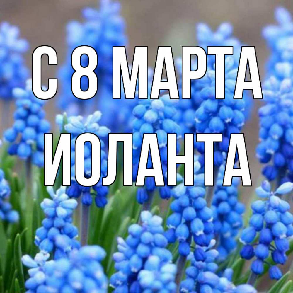 Открытка на каждый день с именем, Иоланта С 8 МАРТА Поздравительная открытка для женщин с цветами на праздничную дату Прикольная открытка с пожеланием онлайн скачать бесплатно 