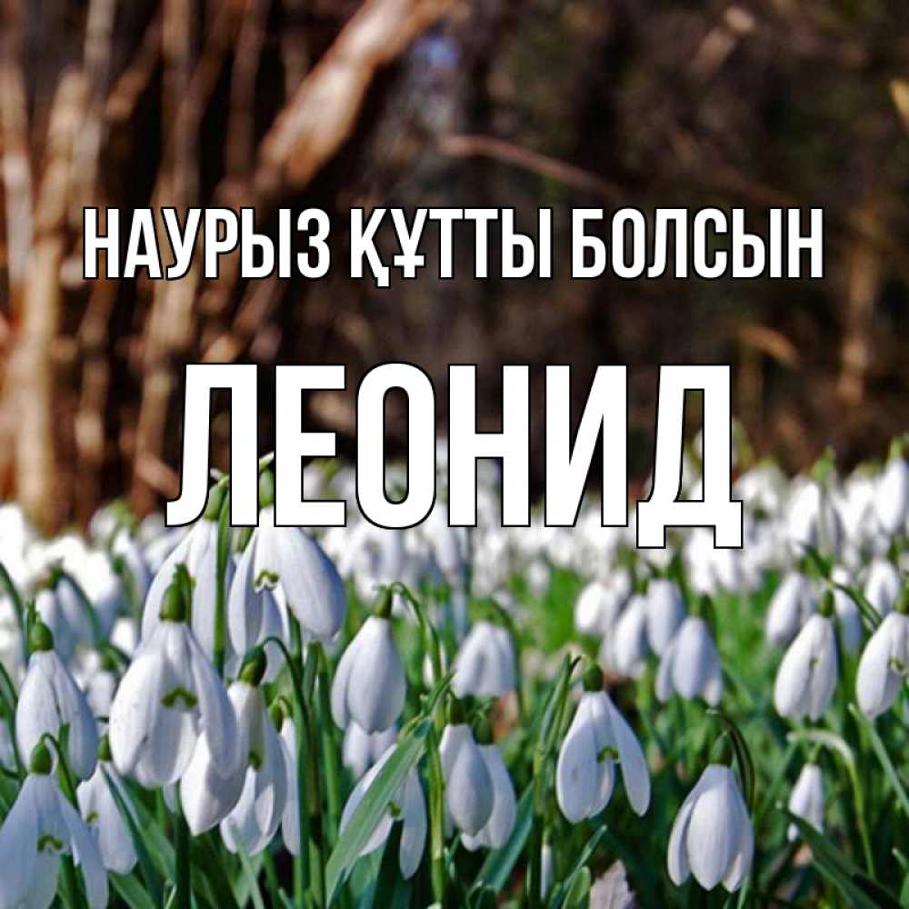 Открытка на каждый день с именем, Леонид Наурыз құтты болсын с подснежниками 1 Прикольная открытка с пожеланием онлайн скачать бесплатно 