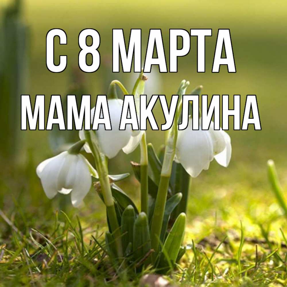 Открытка на каждый день с именем, Мама-Акулина С 8 МАРТА ранние цветы 2 Прикольная открытка с пожеланием онлайн скачать бесплатно 