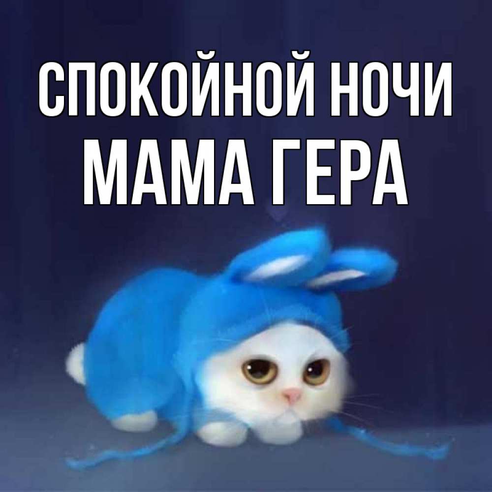 Открытка на каждый день с именем, Мама-Гера Спокойной ночи кот в голубом костюме кролика с ушками Прикольная открытка с пожеланием онлайн скачать бесплатно 