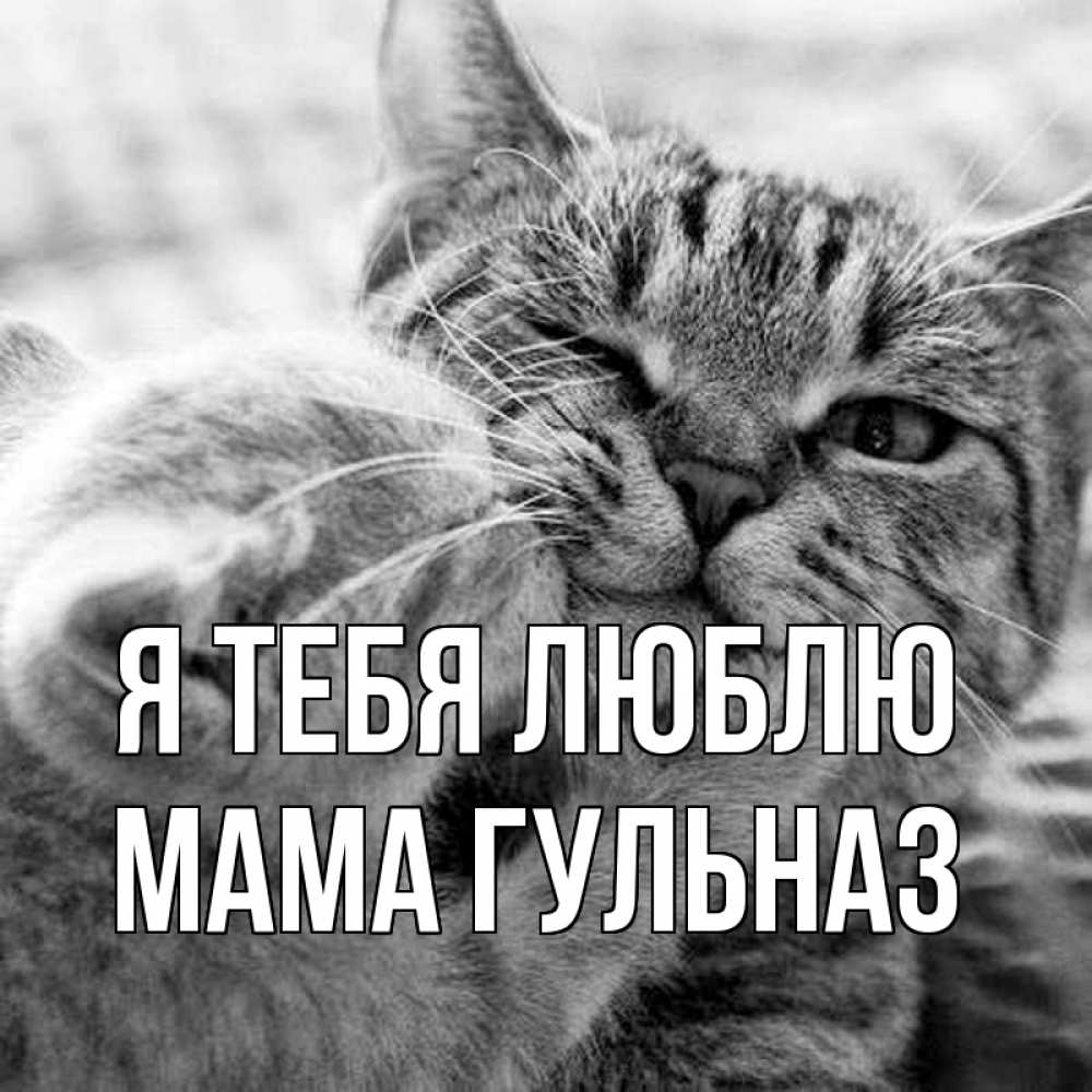 Открытка на каждый день с именем, Мама-Гульназ Я тебя люблю коты Прикольная открытка с пожеланием онлайн скачать бесплатно 