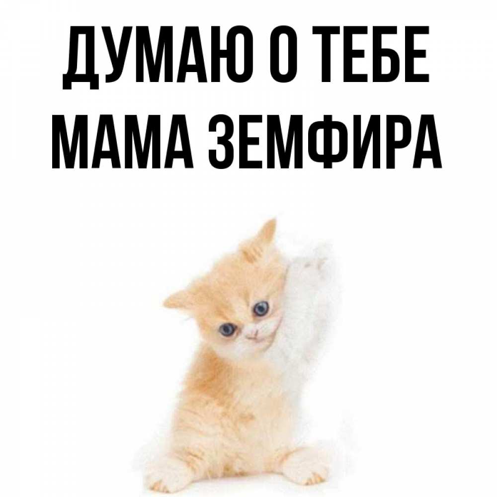 Открытка на каждый день с именем, Мама-Земфира Думаю о тебе зверушки и милота Прикольная открытка с пожеланием онлайн скачать бесплатно 