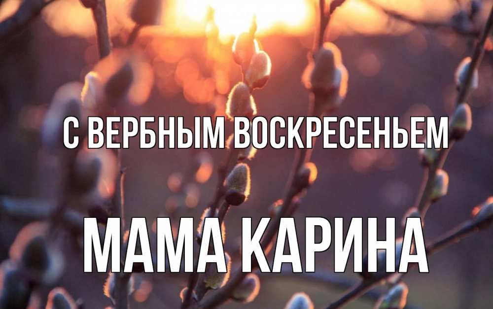 Открытка на каждый день с именем, Мама-Карина С вербным воскресеньем верба Прикольная открытка с пожеланием онлайн скачать бесплатно 