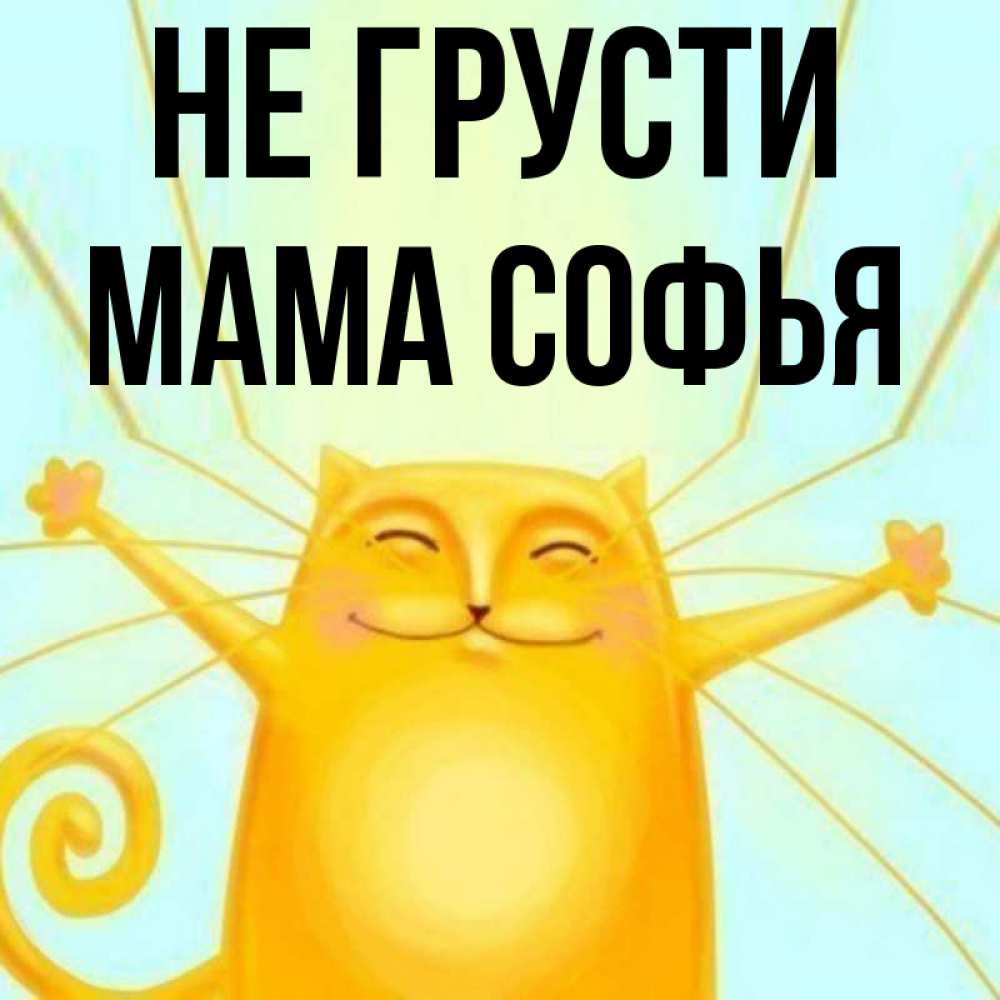 Открытка на каждый день с именем, Мама-Софья Не грусти обнимашки усатые Прикольная открытка с пожеланием онлайн скачать бесплатно 
