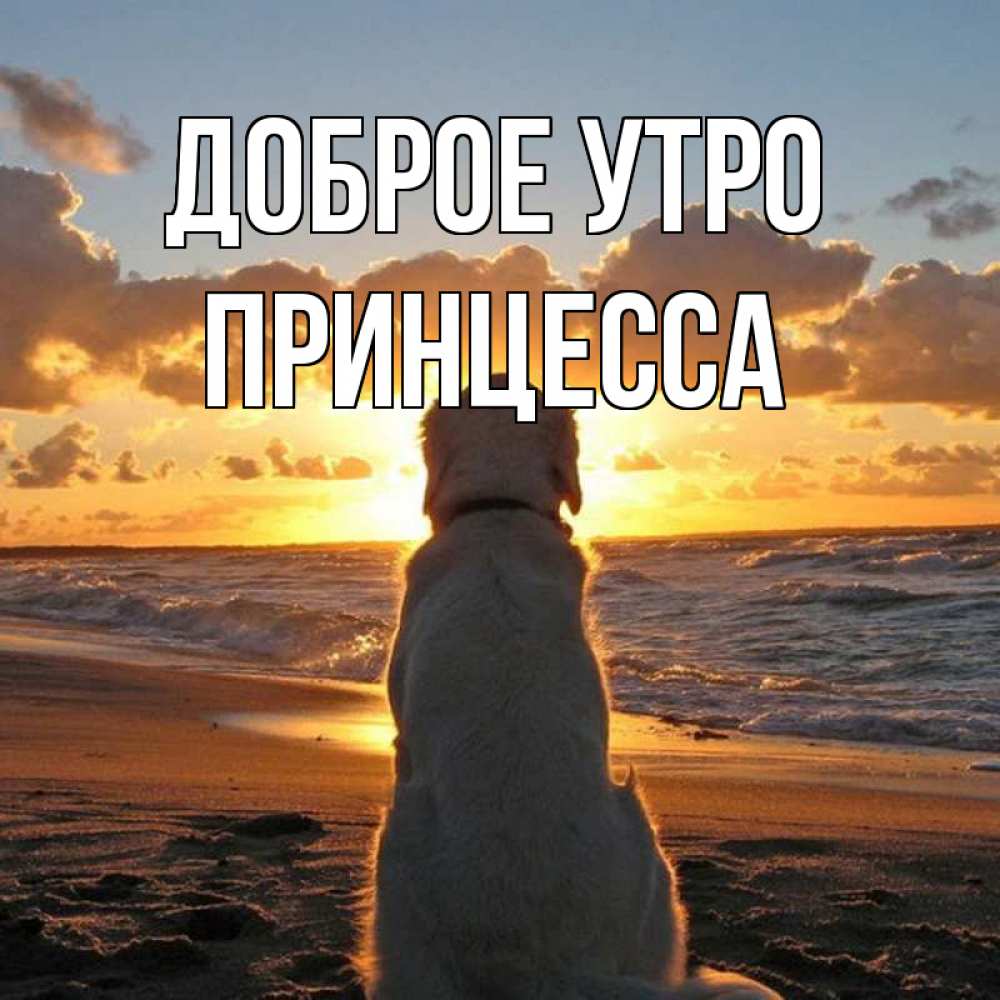 Открытка на каждый день с именем, Принцесса Доброе утро восход солнца Прикольная открытка с пожеланием онлайн скачать бесплатно 