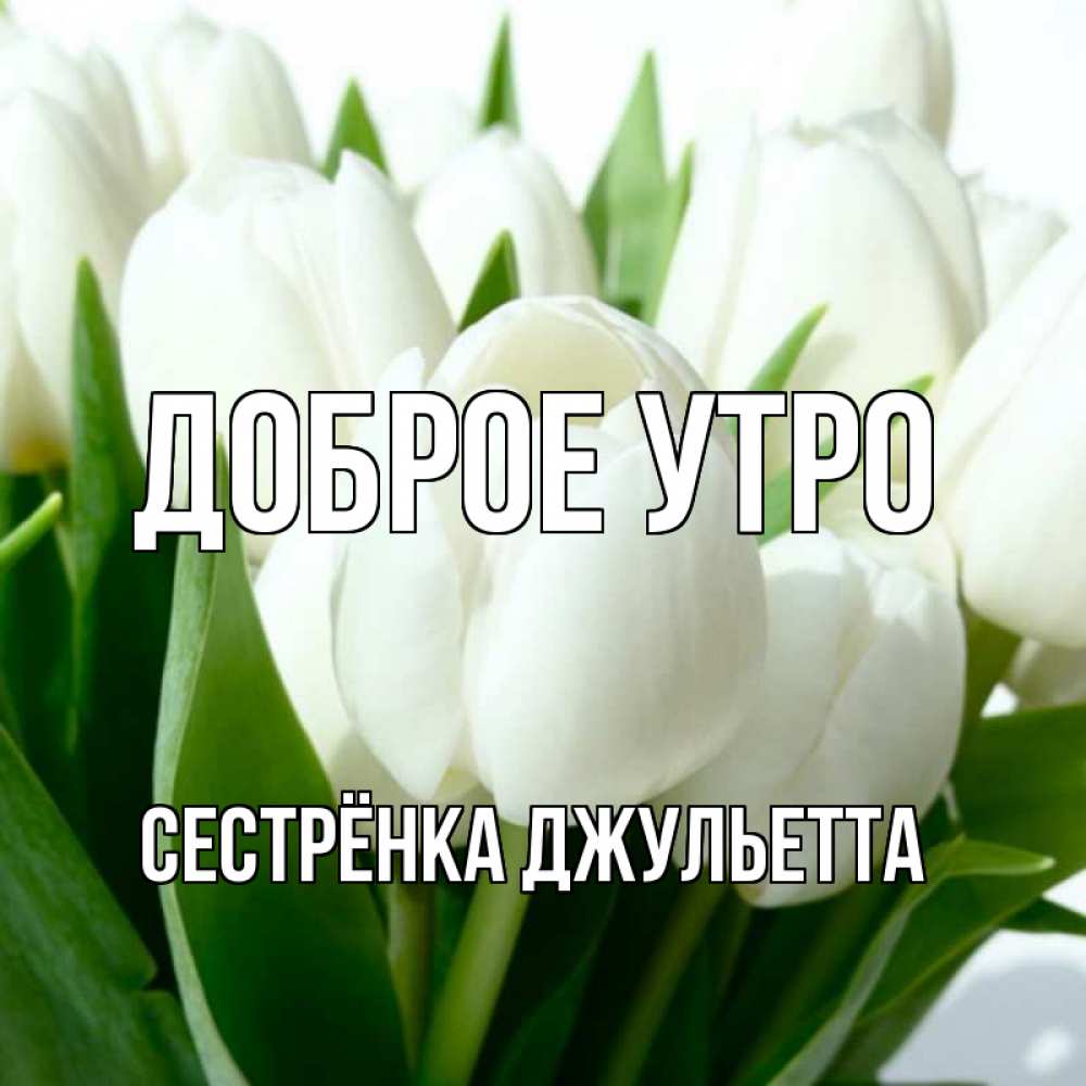 Открытка на каждый день с именем, Сестрёнка-Джульетта Доброе утро открытки на каждый день по именам Прикольная открытка с пожеланием онлайн скачать бесплатно 