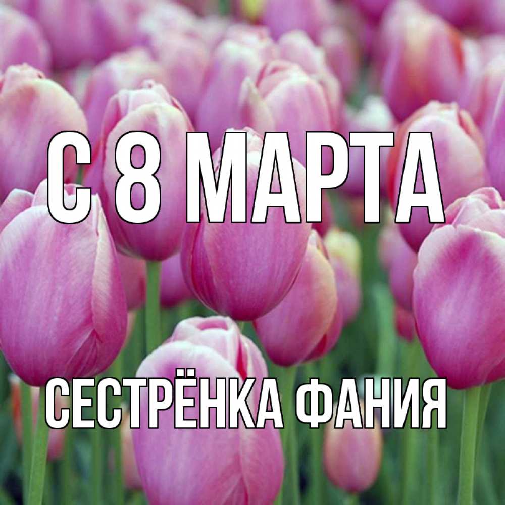 Открытка на каждый день с именем, Сестрёнка-Фания С 8 МАРТА на международный женский день 3 Прикольная открытка с пожеланием онлайн скачать бесплатно 