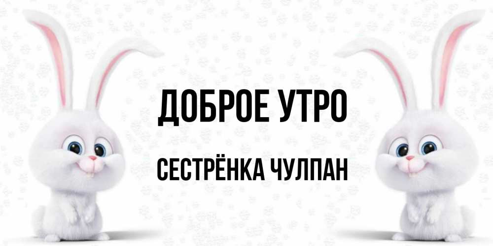 Открытка на каждый день с именем, Сестрёнка-Чулпан Доброе утро кролики с длинными ушками Прикольная открытка с пожеланием онлайн скачать бесплатно 
