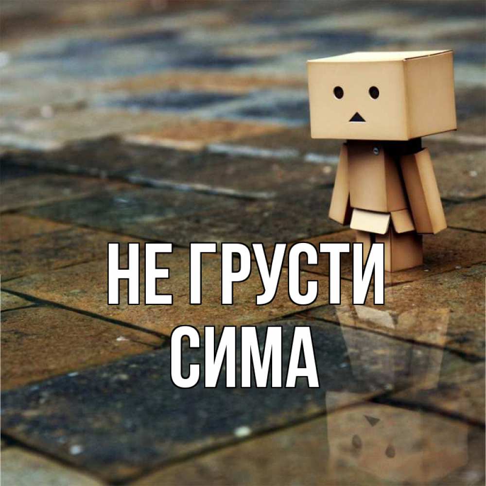 Открытка на каждый день с именем, Сима Не грусти Стив Прикольная открытка с пожеланием онлайн скачать бесплатно 