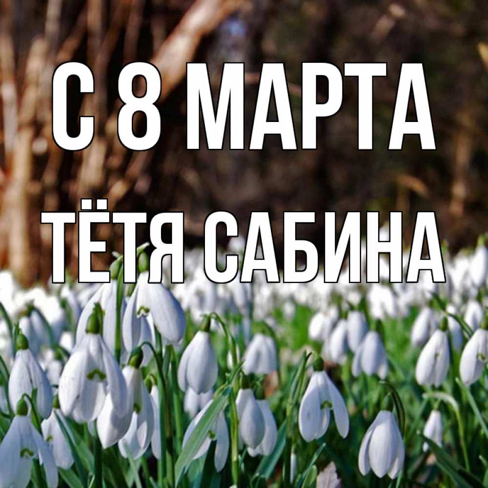 Открытка на каждый день с именем, Тётя-Сабина С 8 МАРТА с подснежниками 1 Прикольная открытка с пожеланием онлайн скачать бесплатно 