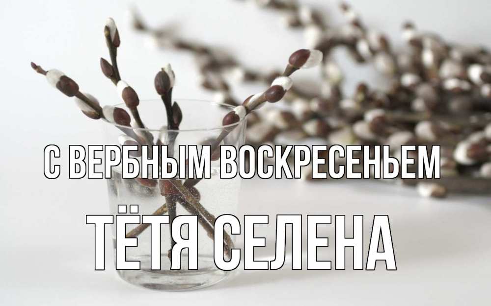Открытка на каждый день с именем, Тётя-Селена С вербным воскресеньем верба Прикольная открытка с пожеланием онлайн скачать бесплатно 