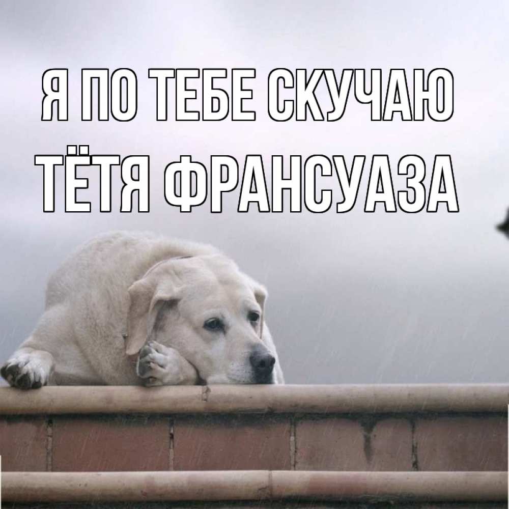 Открытка на каждый день с именем, Тётя-Франсуаза Я по тебе скучаю ждет Прикольная открытка с пожеланием онлайн скачать бесплатно 